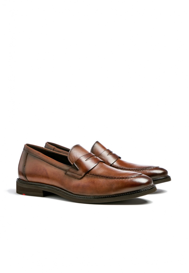 LLOYD REYNOLD Smart shoes Brune | ELO305761