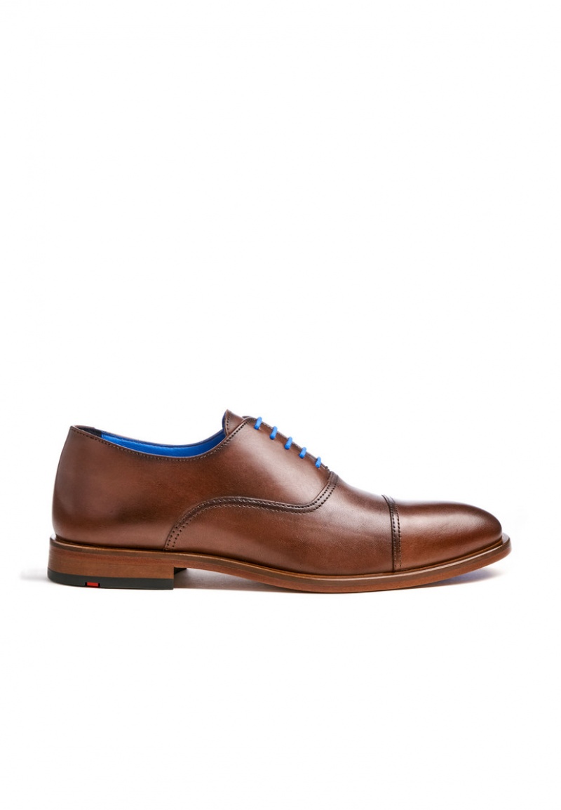 LLOYD ROB Smart shoes Brune | SWV359046