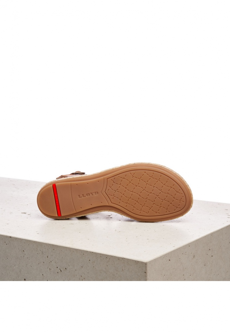 LLOYD SANDALE Sandaler Brune | IQU490638