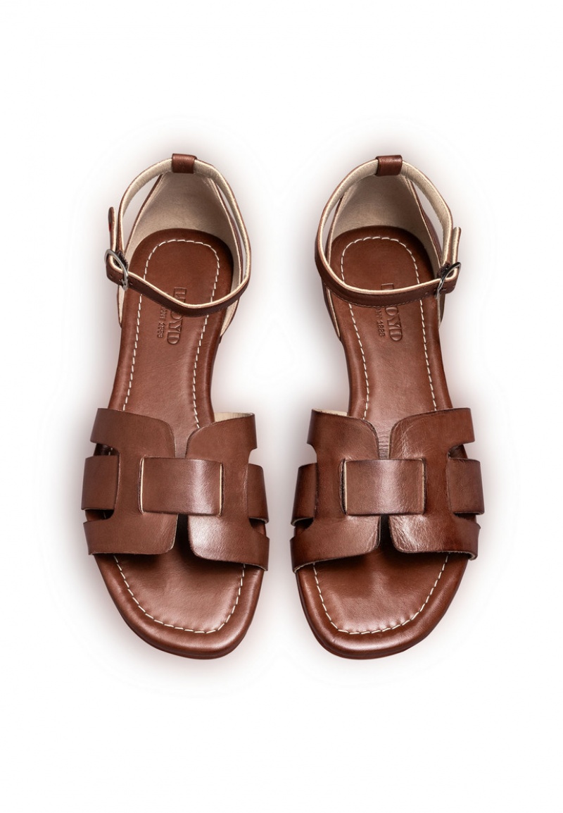 LLOYD SANDALS Sandaler Brune | UTB431708