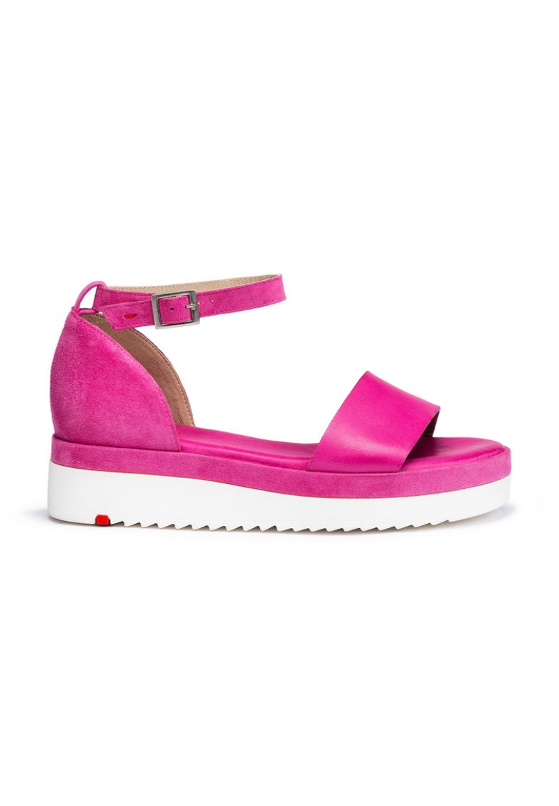 LLOYD SANDALS Sandaler Rosa | HKA486057