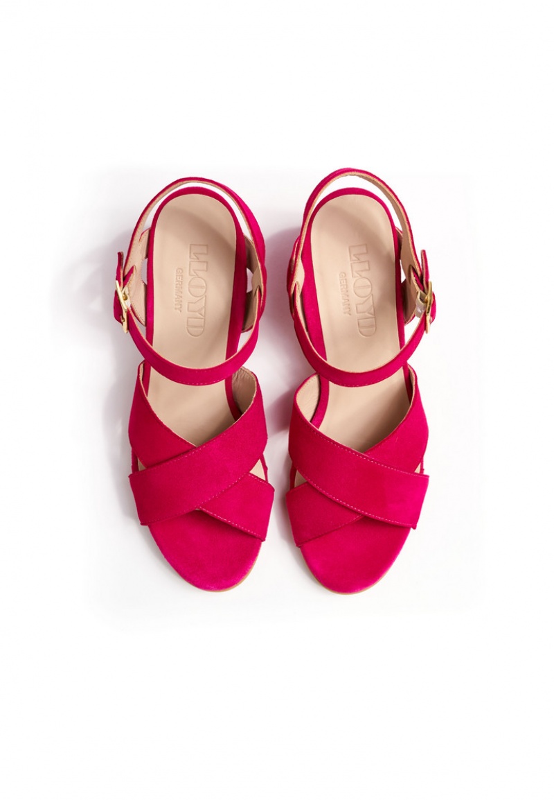 LLOYD SANDALS Sandaler Rosa | JAY130472