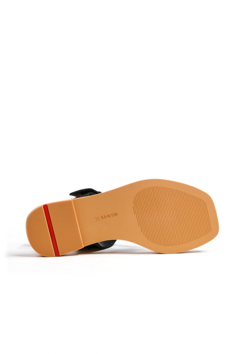 LLOYD SANDALS Sandaler Svarte | EAQ012674