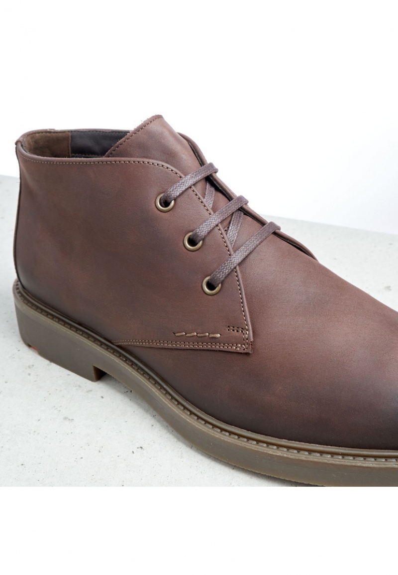 LLOYD SKAL Smart shoes Brune | UYR028674