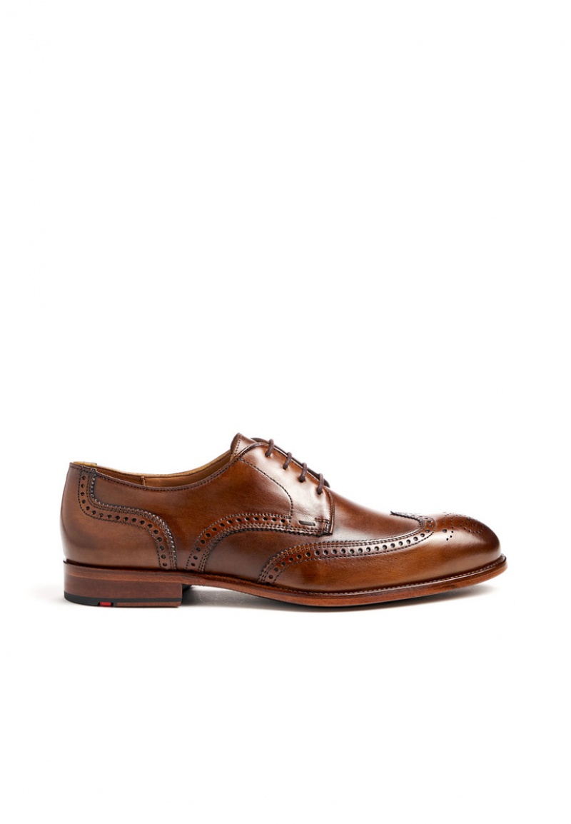 LLOYD STAFFORD Smart shoes Brune | FEB378124