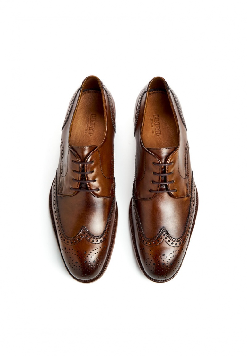 LLOYD STAFFORD Smart shoes Brune | FEB378124