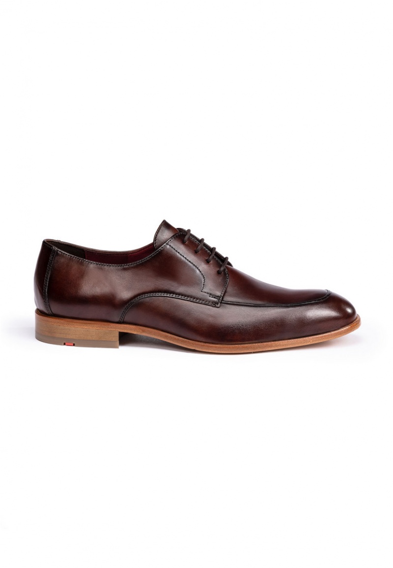 LLOYD STEWARD Smart shoes Brune | TOM128974