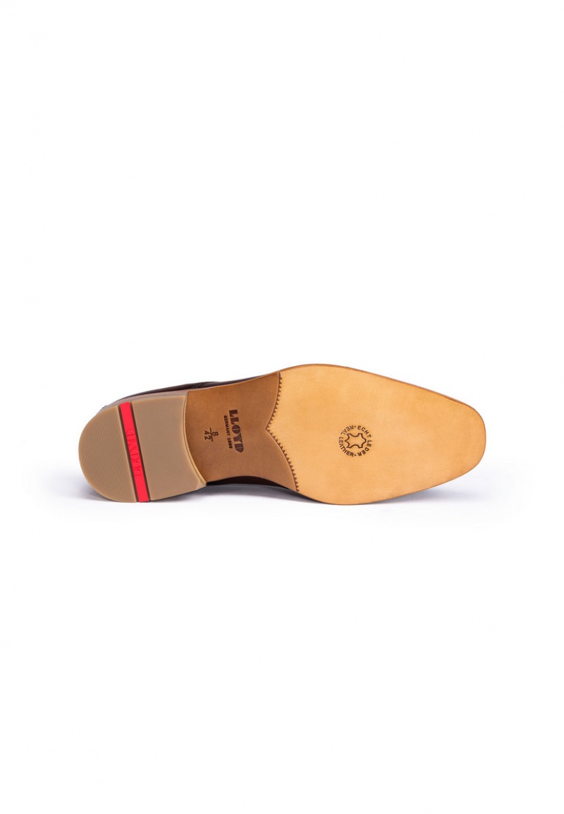 LLOYD STEWARD Smart shoes Brune | TOM128974