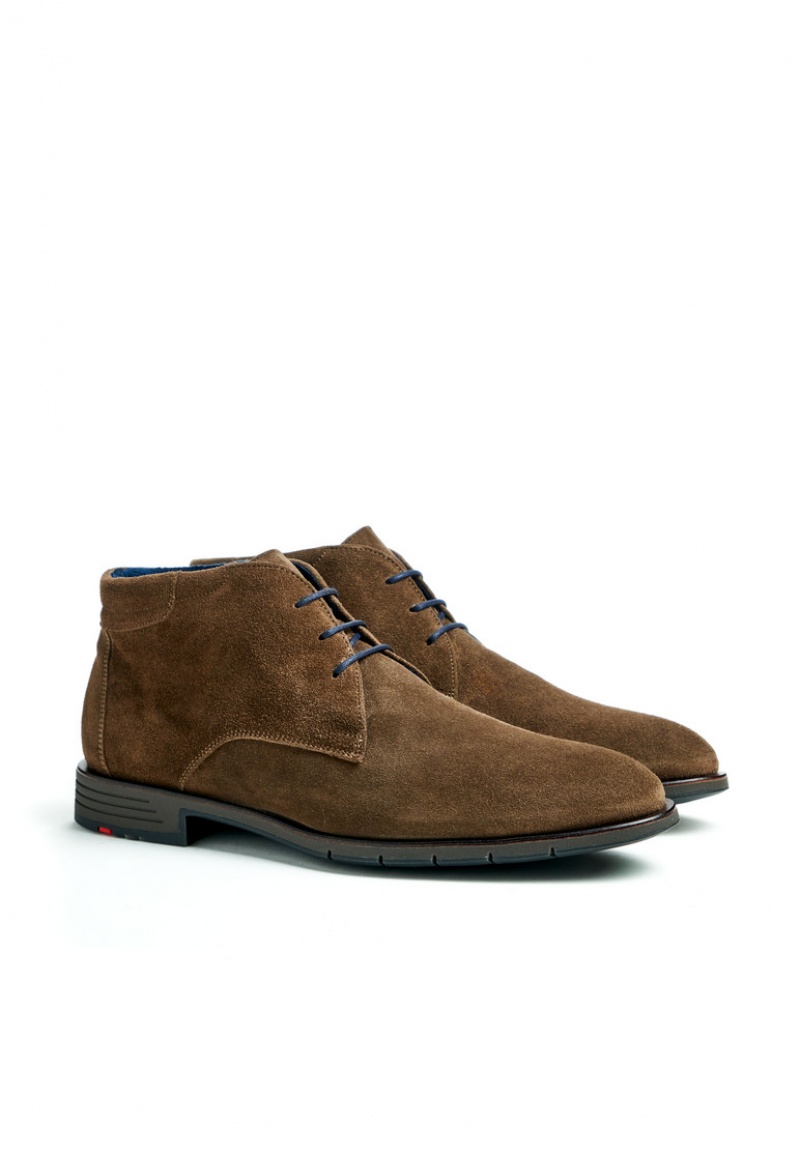 LLOYD TAMAR Smart shoes Brune | ZTW029781