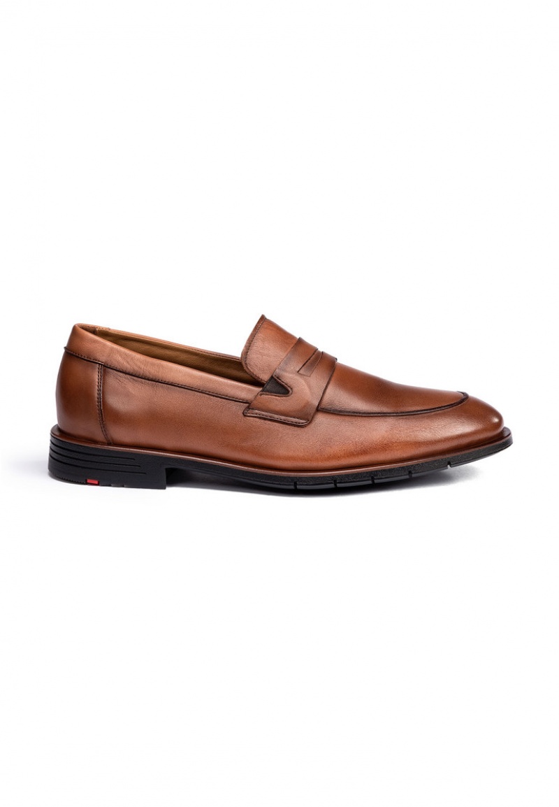 LLOYD TARRAS Smart shoes Brune | CHI069184