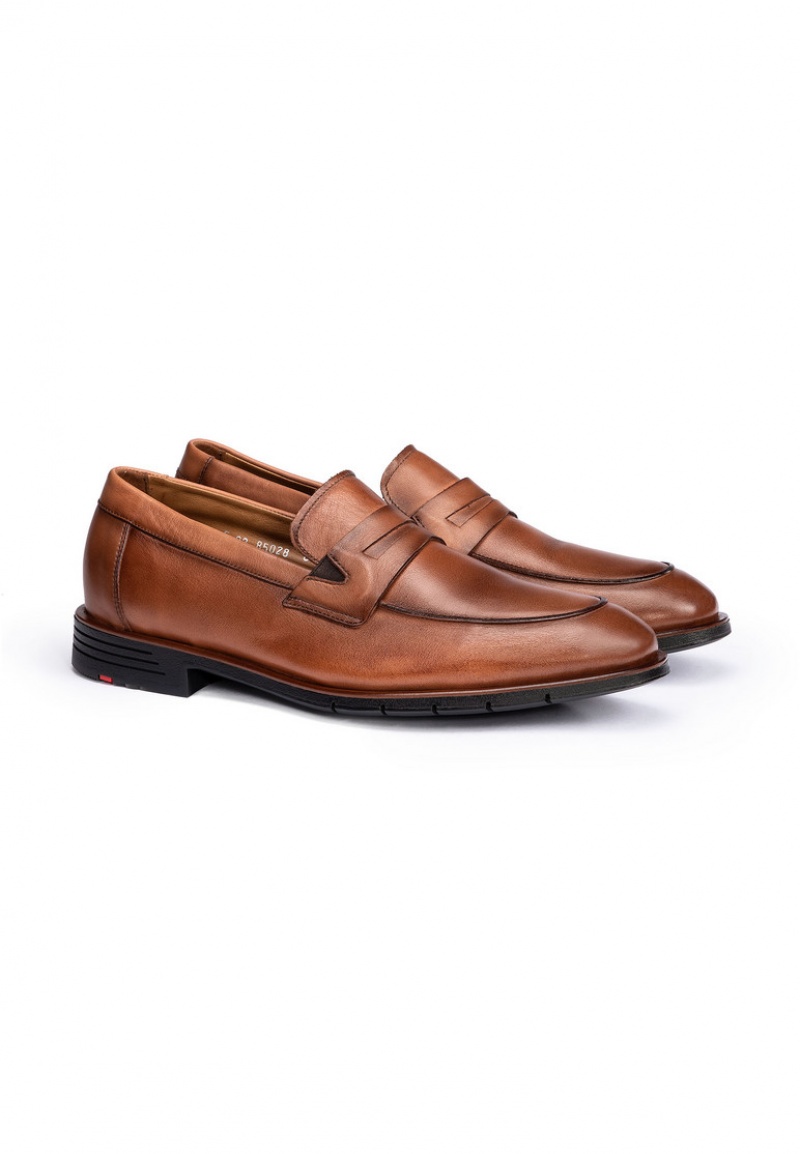 LLOYD TARRAS Smart shoes Brune | CHI069184