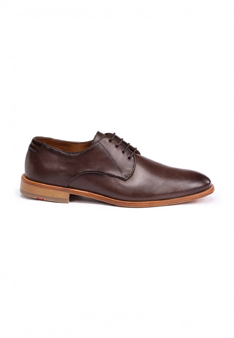 LLOYD TERRY Smart shoes Brune | XGW054369