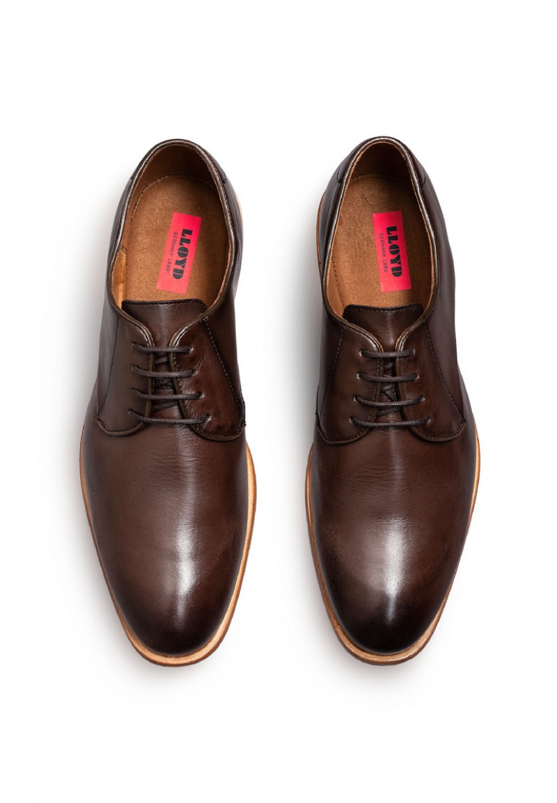 LLOYD TERRY Smart shoes Brune | XGW054369