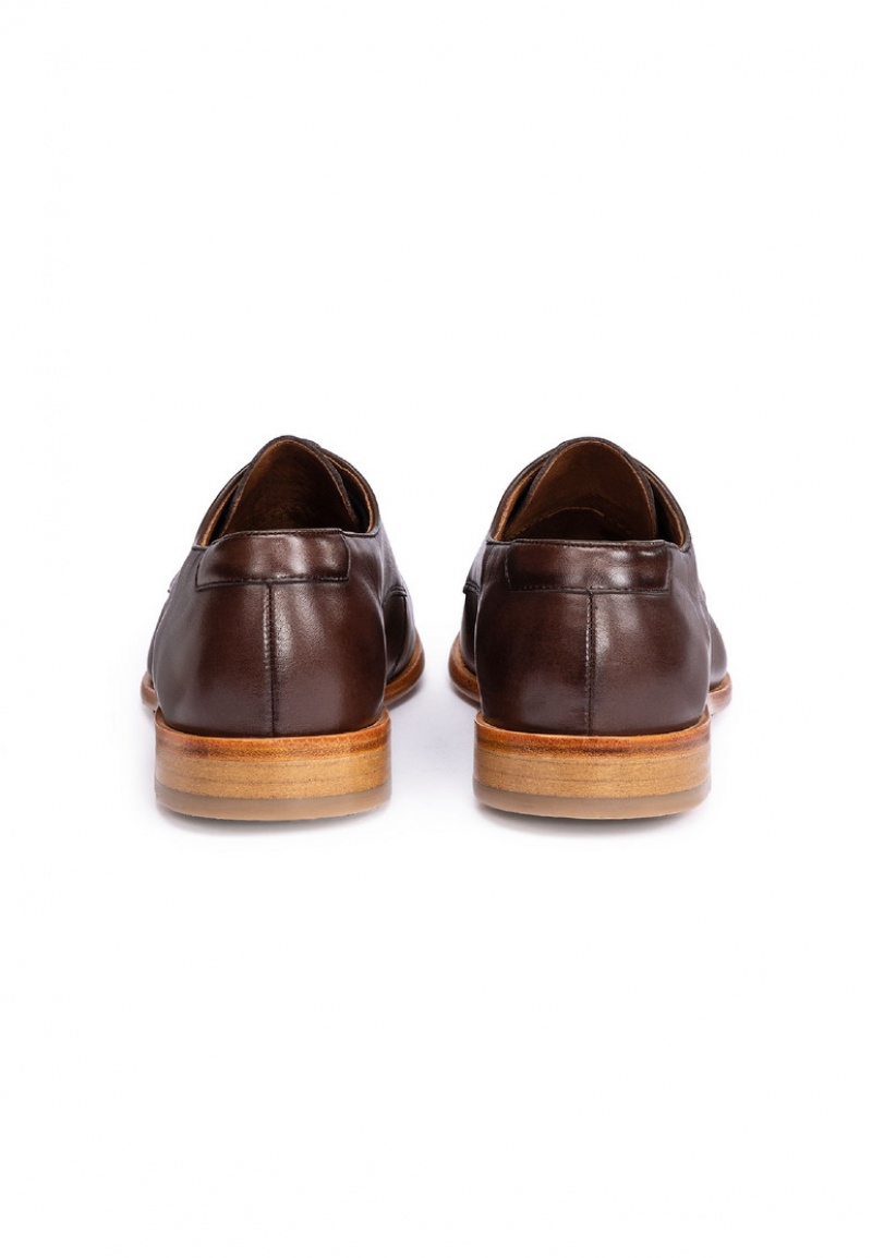 LLOYD TERRY Smart shoes Brune | XGW054369