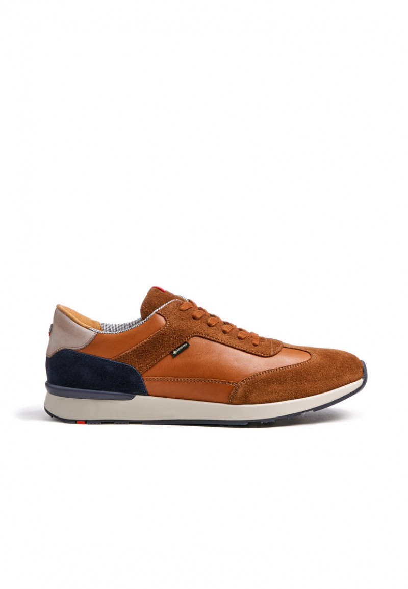 LLOYD VEDEA Joggesko Brune | DBK694158