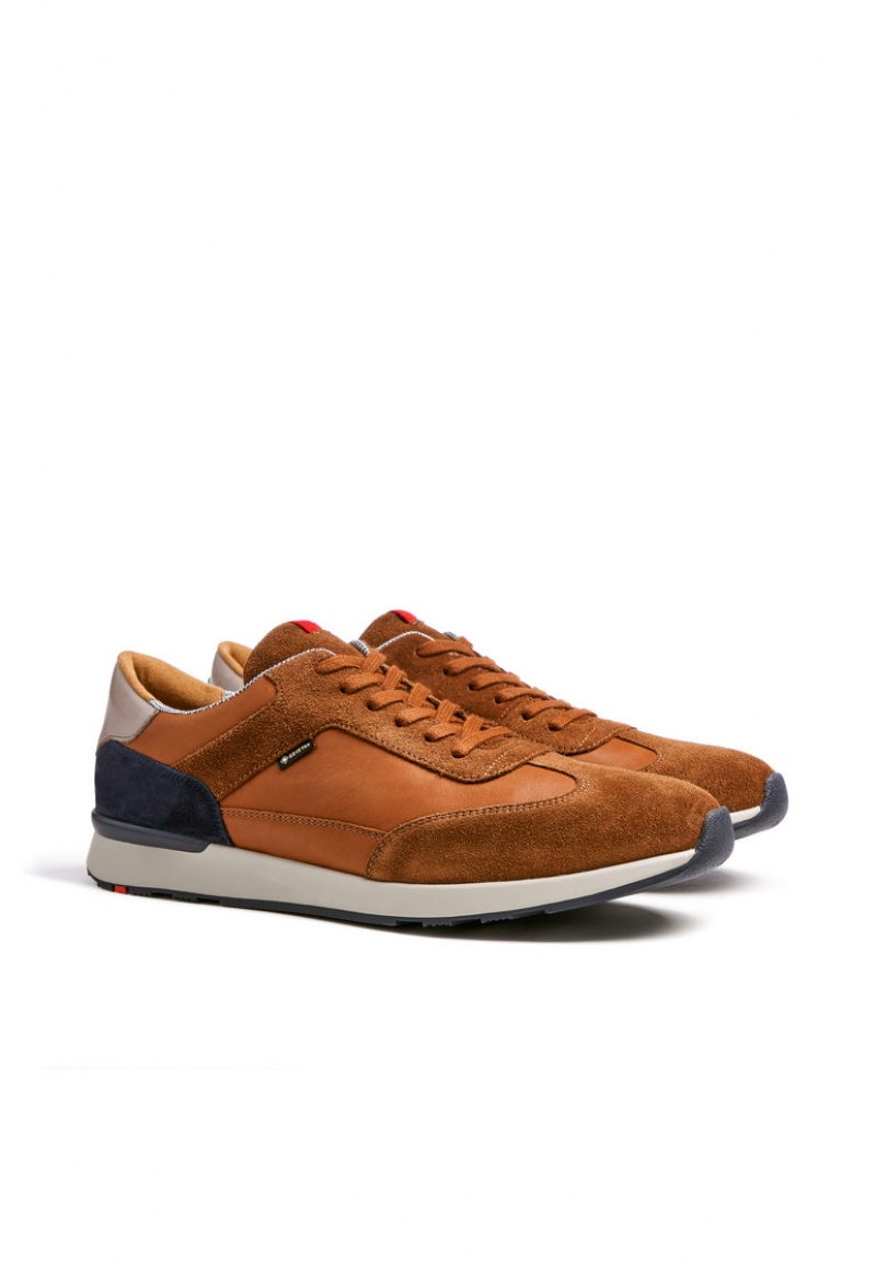 LLOYD VEDEA Joggesko Brune | DBK694158