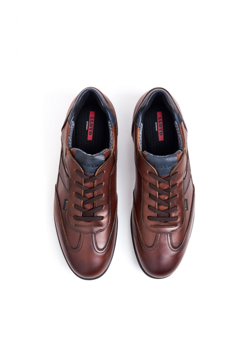 LLOYD VERNON Smart shoes Brune | GUD246897